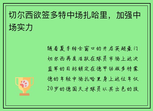 切尔西欲签多特中场扎哈里，加强中场实力