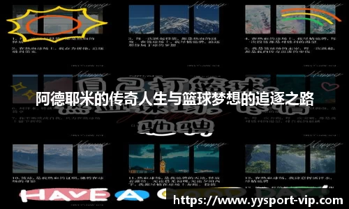 YY易游体育